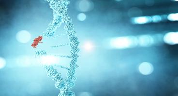 DNA strand being altered