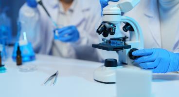 Medical researchers wearing lab coats and gloves are using a microscope and pipette, conducting experiments and research in a modern laboratory setting with beakers and tweezers.