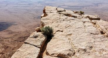 Edge of cliff. 