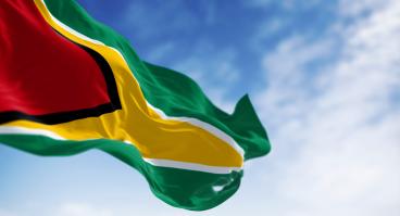 Close-up view of the Guyana national flag waving in the wind 