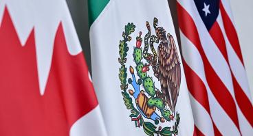 North American flags 