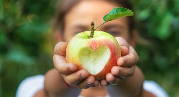 A child eats an apple in the garden.
