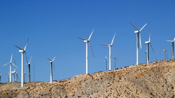 A wind farm.