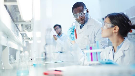 Scientists analyze test tube samples in a lab.