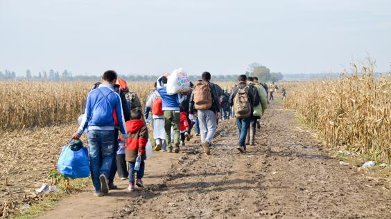 Refugees walk on a trail.
