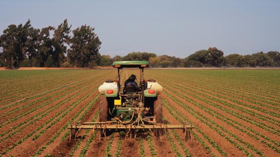 A tractor fertilizes crops.