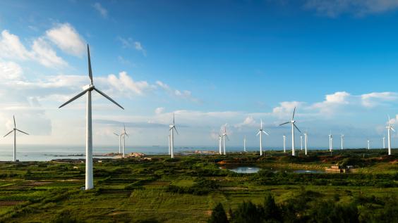 A wind farm.