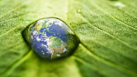 A reflection of Planet Earth appears on a water drop on a leaf.