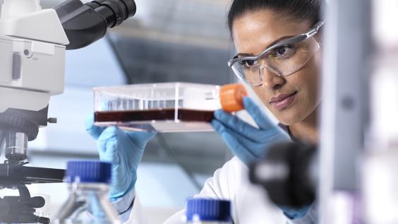 Stem Cell lab
