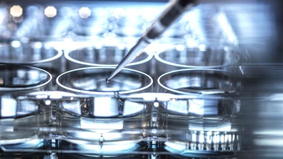 Stem cell pipette