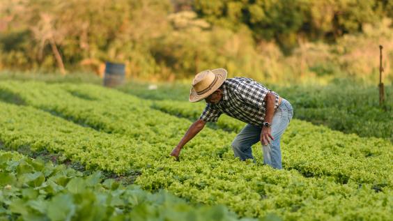 Farm Worker