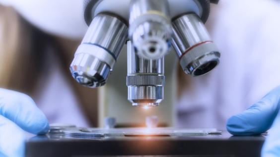 Microscope 