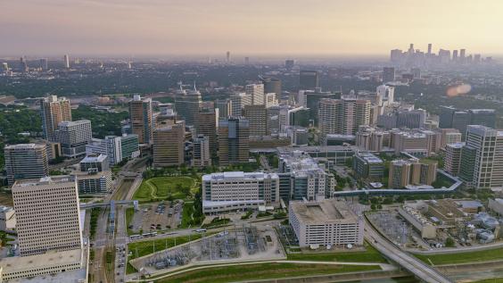 Texas Medical Center