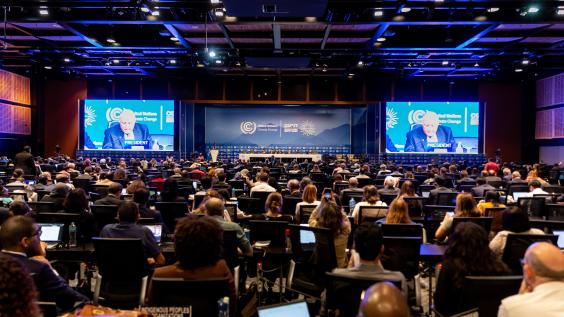 COP27 Conference in Egypt, 2022