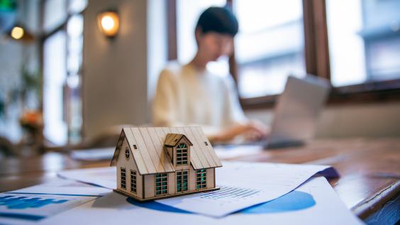 Property Taxes