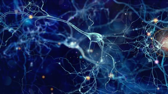 Brain health