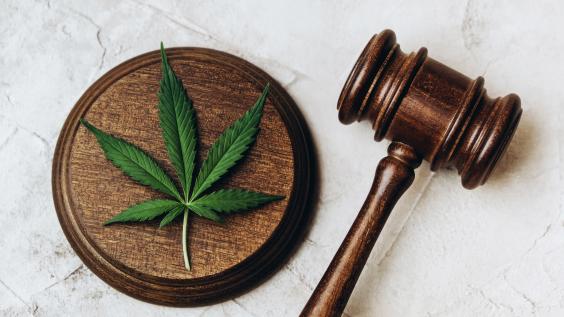 Cannabis