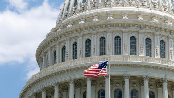 Capitol flag