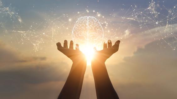 Brain and migration connections