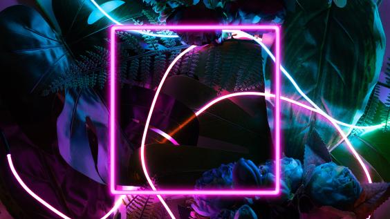 Neon square frame on a dark florlal background