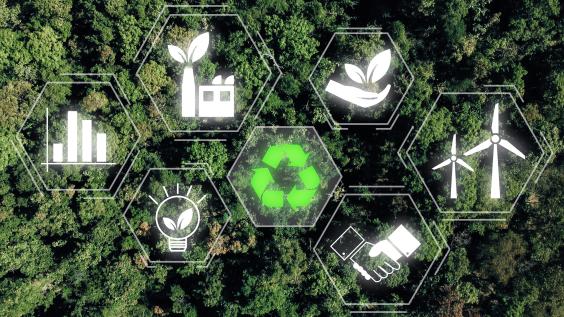 Sustainability Concept