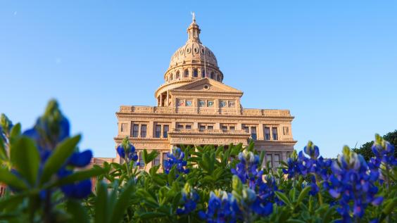 Texas capitol in bloom