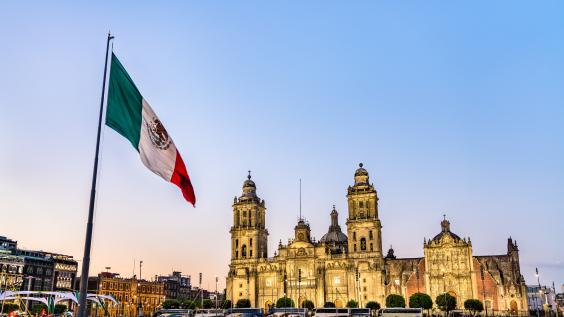 Flagpole and Mexico City Metropolitan