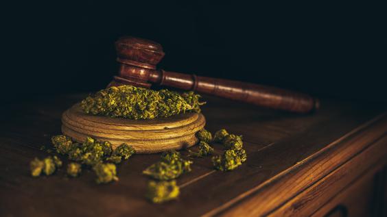 Wooden judge hammer and sound block with seeds and flower of marijuana