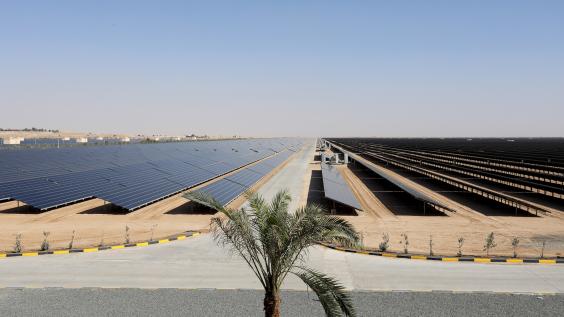 solar panels in desert with palm tree in foreground