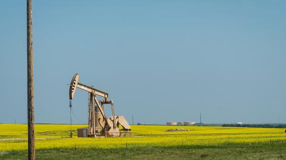 Small oil pump in field of yellow flowers with telephone in foreground.