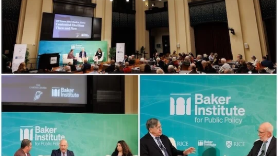 Collage of the event. 