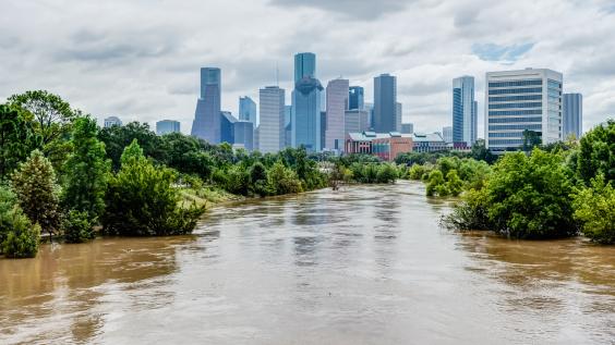 Houston Flood 
