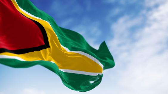 Close-up view of the Guyana national flag waving in the wind 