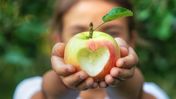 A child eats an apple in the garden.