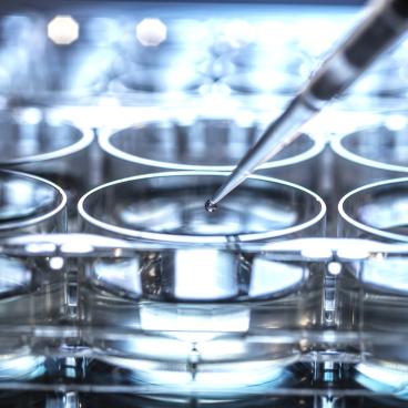 Stem cell pipette