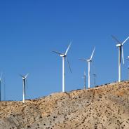 A wind farm.