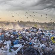 Pile of trash