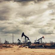 Many oil pumps at work in a field.