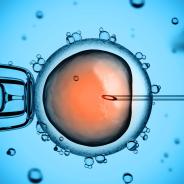 A needle poking a human cell.