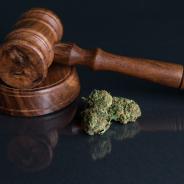 Marijuana bud next to a gavel