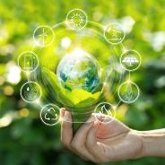 A sphere sprouting from a plant is surrounded by icons of the various energy sectors.