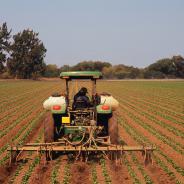 A tractor fertilizes crops.