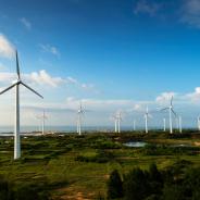 A wind farm.