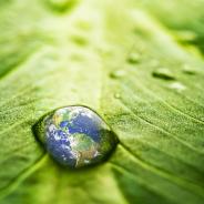 A reflection of Planet Earth appears on a water drop on a leaf.