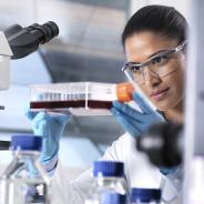 Stem Cell lab