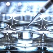 Stem cell pipette