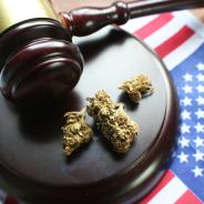 Marijuana+Law
