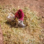 A Moroccan woman gathers crops.