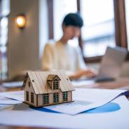 Property Taxes