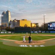 Rice Owls baseball